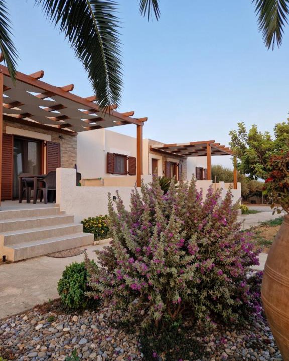 Palekastro Apartment | Olivar Suites