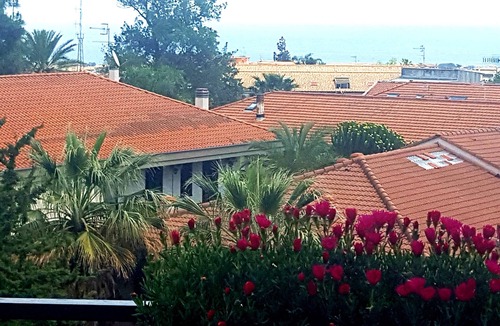 Giarre Apartment | HOLIDAY BETWEEN VOLCANO ETNA AND TAORMINA