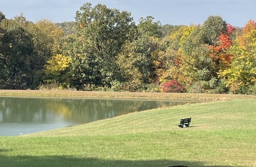 Perks Cabin | Peace, quiet and nature at your back door