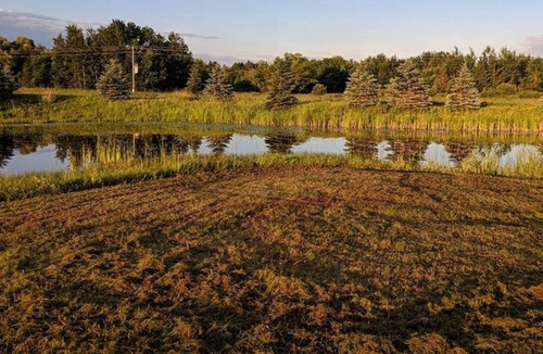 Pine Lake Township House | Rustic Log Lodge Secluded acres with private lake & pond