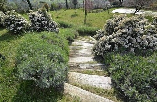 Pieve al Bagnoro House | Villa Arcanda C: A cozy and welcoming apartment, with Free WI-FI.