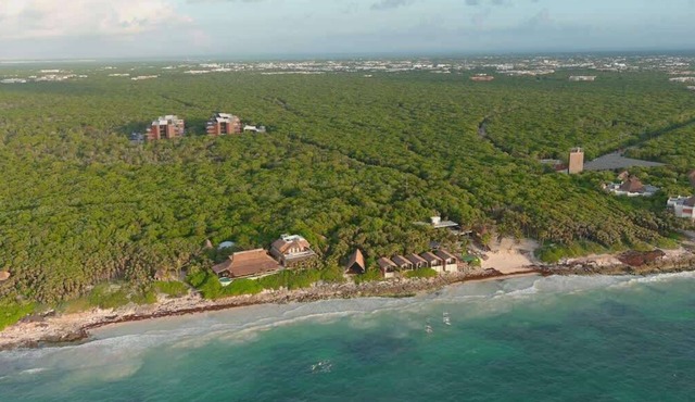 2 luxury apt with private pool, steps from sea. in Tulum