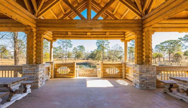 A 40-Acre Queen Suite Getaway: Zip-Lining, World Equestrian, Ocala, Springs, UF