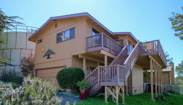 A Beautiful Tree Top Panorama in Cambria