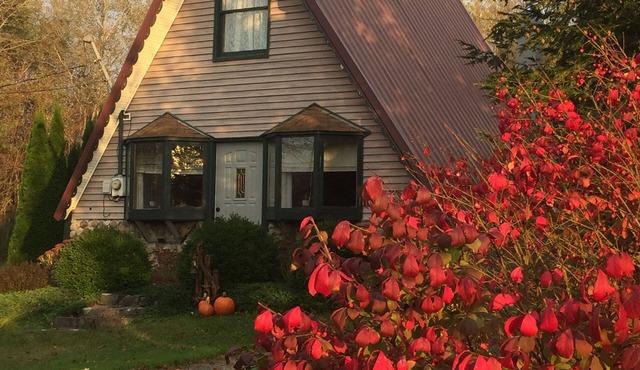 A-framed Adirondack cottage near Great Sacandaga Lake in Mayfield