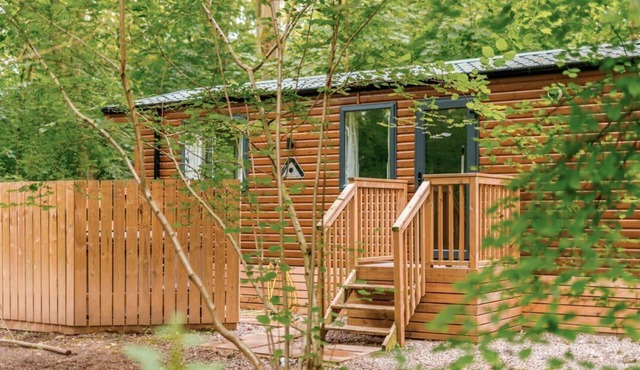 Alford Spa, Kenwick Woods in Louth