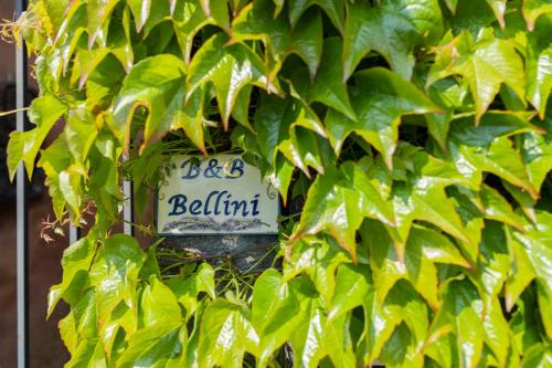B&B Bellini in Milo