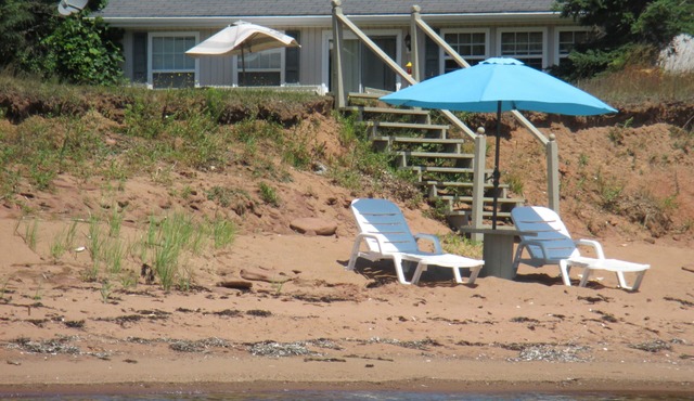 B.E.A.C.H. Best Escape Anyone Can Have in Belle River