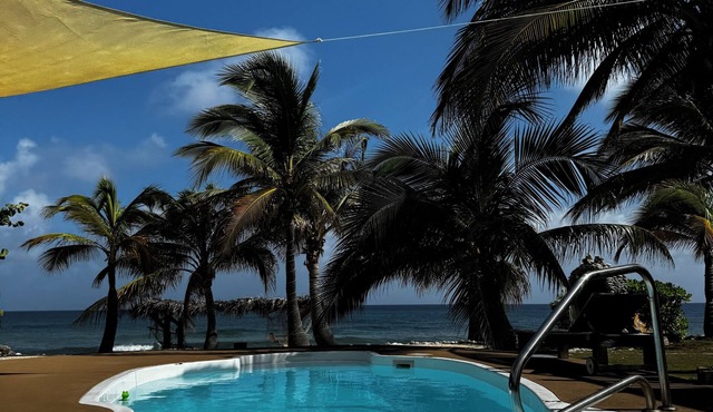 Beachfront 1-bdr 1-bath "Sea Breeze Suite" 100 ft from the Ocean with a Pool! in West End