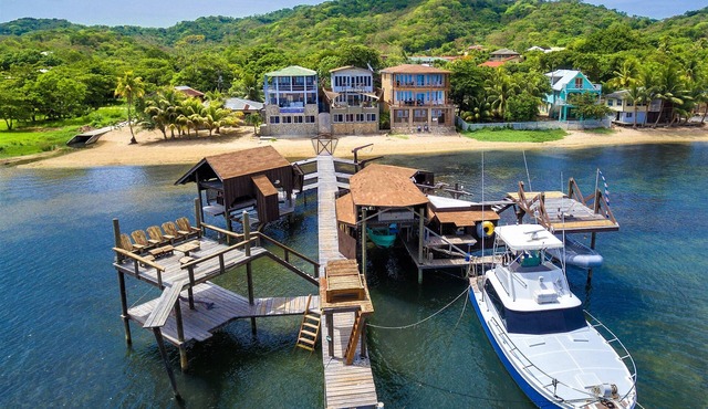 Beachfront! Diving, Snorkeling, Kayaking on site. Turtle Casa, ENTIRE VILLA! in Roatan
