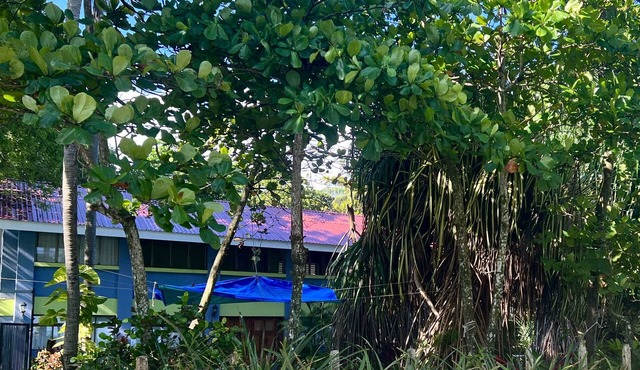 BEACHFRONT HAVEN OFFERS JOYFUL ONE OF A KIND HOLIDAY JUST STEPS FROM THE OCEAN in Esterillos Oeste