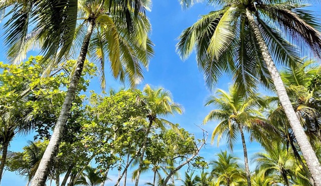 BEACHFRONTGEM- owner’s villa-expansive endless beach less traveled. Discounted in Savegre