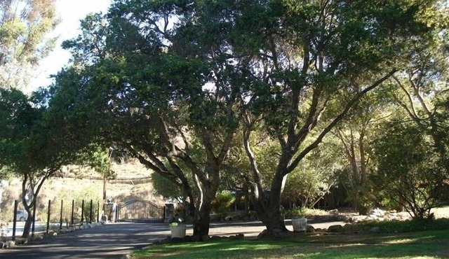 Big 3 Bedroom Home with a 1 Bedroom Guest House in Salinas
