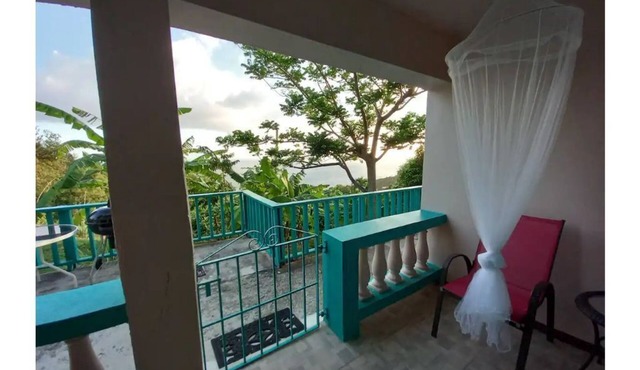 Book now for STT Carnival! Golden Apple Unit in St Thomas