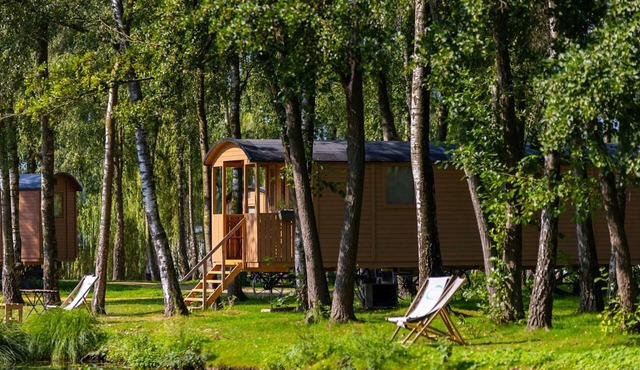 Camping Papillon Kinrooi - Pipowagen 4 p. terras by Interhome in Kinrooi