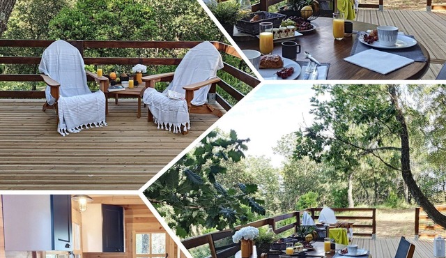 Chalets du Golfe de Saint Tropez,havre de Paix, 20mn des Plages,en Pleine Nature in La Garde-Freinet