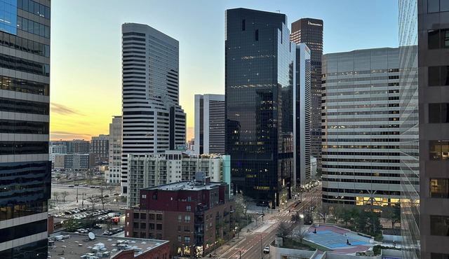 Charming elegant high-rise apartment in heart of Denver.