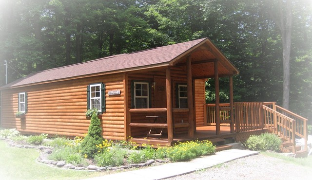 Charming Log Cabin in Sackets Harbor, NY, free internet, great location, privacy in Sackets Harbor