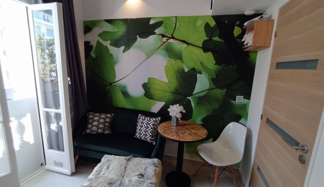 Charming Tiny House studio – 100 m from the beach and the Paseo de los Ingleses in Nice