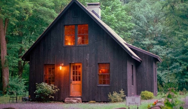 Creekside Catskills Cabin in Middleburgh