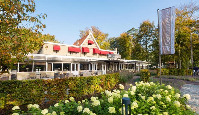 Dennenheuvel in Epe