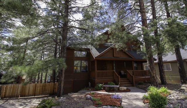 Dream Cabin in the Pines with A/C and HOT TUB!