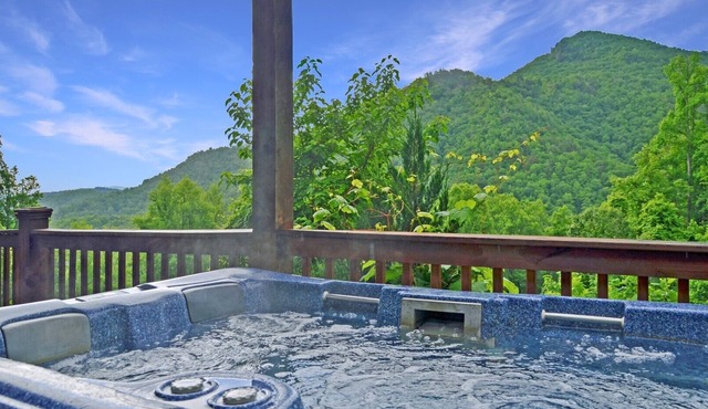 Dreamcatcher - Free Railroad Tix - secluded - Fire Pit and Outdoor Bed Swing in Bryson City