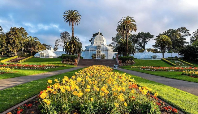 Excellent Choice! Two Pet-friendly Accommodations Near Union Square! in San Francisco