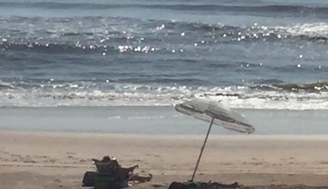 Fun in Flagler Beach(discounts for longer stays) in Flagler Beach