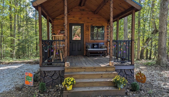 Glamping at Tiny House! Perfect Romantic Cabin Getaway on Horse Farm in Clayton