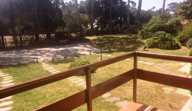 Jean les Pins 03 in Punta del Este