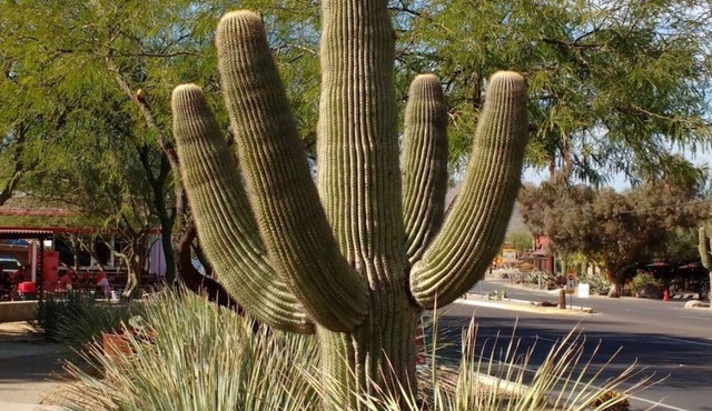 Lakeside Oasis, Centrally Located w/Huge Deck free wifi & Heated Pool in Phoenix
