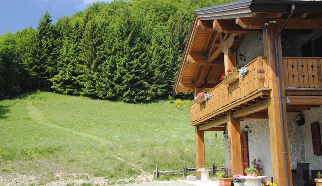 Le Antiche Orme in Pievepelago