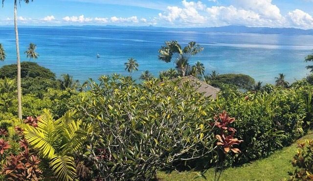 luxury Oceanview Villa - Complete Privacy, "Blue Bayou" with Starlink. in Savusavu