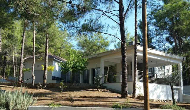 Moniatis Villa in Moniatis