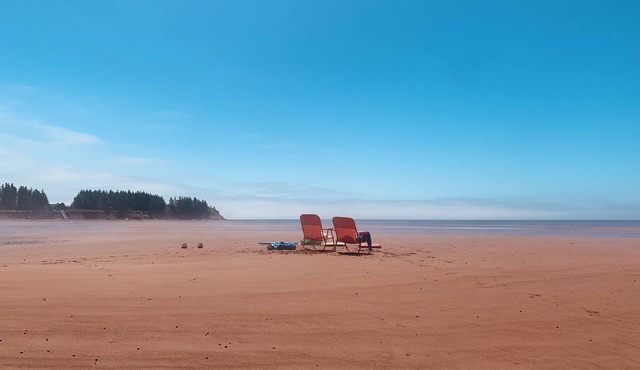 Oceanfront cottage. Steps to the beach, pet & family friendly. . in Borden-Carleton