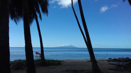 Palm View in Laborie