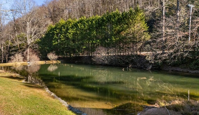 Peaceful Nature Retreat on 66 Acres | Pond, Trails in Brevard