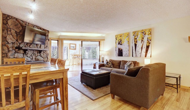 Pet-friendly Very Spacious One Bedroom Condo! BE108 in Copper Mountain