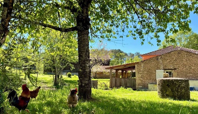 Petit Maison a la Ferme; Terrasse Couvert, Jacuzzi, Cuisine Exterieur in Capdrot