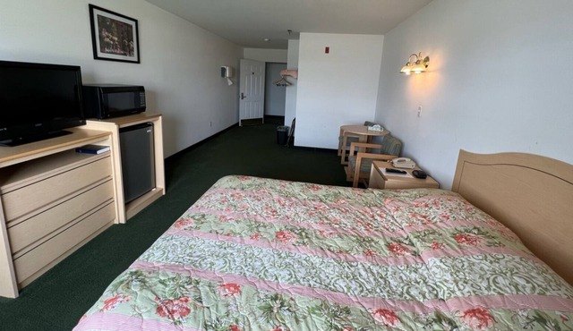 Petite Queen Suite with Free Breakfast and Parking in Red Bud
