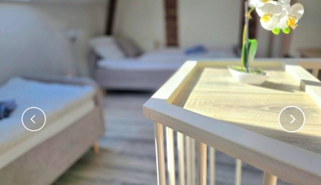 "Quiet, separate rear house - 2 beds & kitchen, 5 min to Frankfurt" in Bad Vilbel