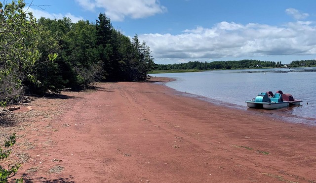 Semi-private beach, huge screened in deck, woods on fenced in property. in Foxley River