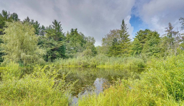 Serene Upstate New York Vacation Rental w/ Pond! in Saint Johnsville