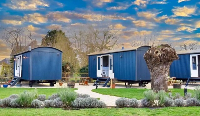 Shepherd's Hut -The Nest/The Burrow in Witney