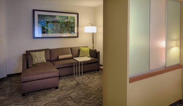 SpringHill Suites by Marriott Albany-Colonie in Albany