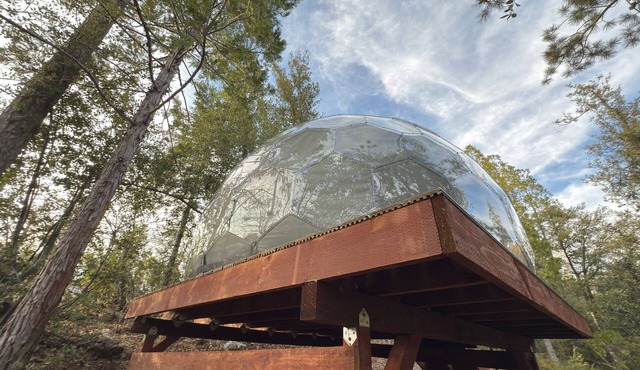 Stargazing dome with Forest Cottage/Lakefront Private Beach with canoe in Bass Lake