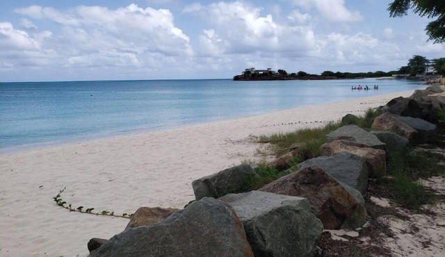 Start your adventure with us on Runway's White Sandy Beach. in Saint John