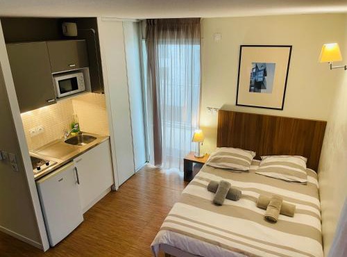Studio Harmonie Confluence Lyon City et piscine chauffante in Lyon
