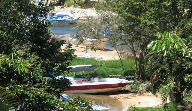 Stunning River Valley touching the Bay of Banderas.Family friendly. in Boca de Tomatlan
